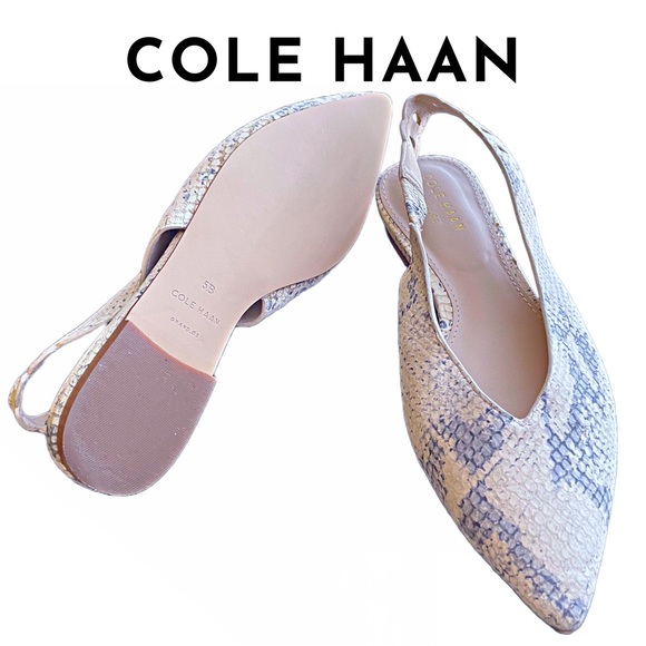 Cole Haan Shoes - Cole Haan • Merrit Skimmer Flat • Ivory Roccia Snake Print Leather • 5 US • EUC